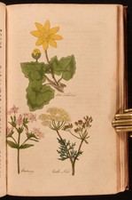 1812 The Family Herbal English Plants Sir John Hill Illustrated Hand Coloured...