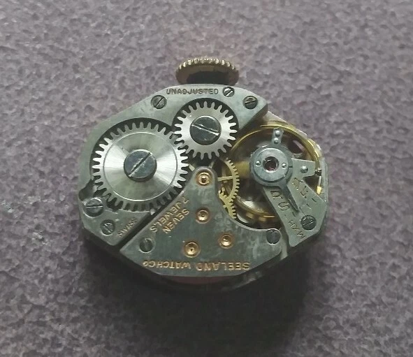 Seeland watch hotsell company