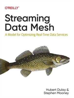 Streaming Data Mesh von Stephen Mooney NEU Taschenbuch Softback