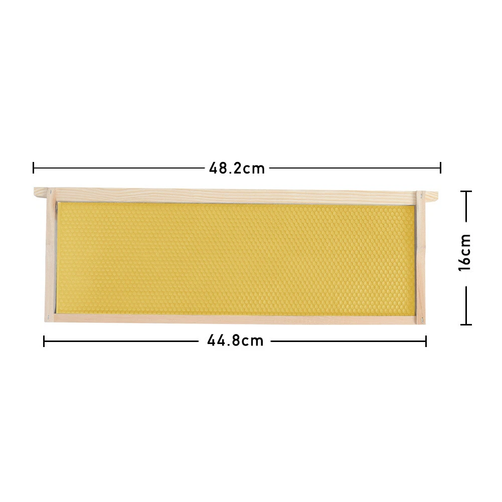 assembled langstroth bee hive frame and wax foundation with height and length measurements