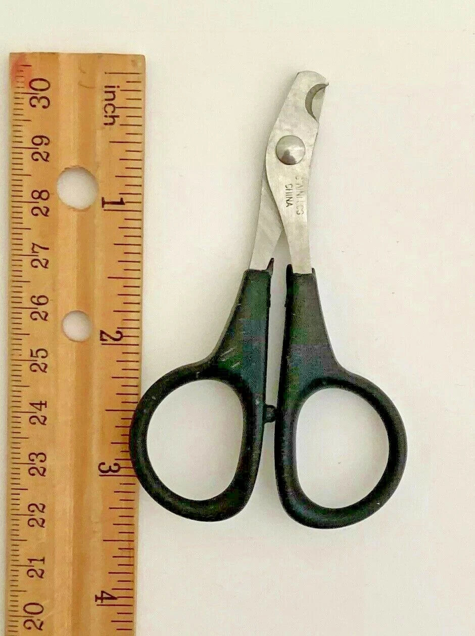 고양이 손톱깎이 다이소 DOGE 코인 5개 무료 증정-Freehip.co.kr