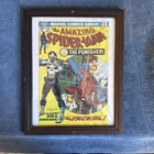 The Amazing Spiderman and Punisher Framed Print Marvel Comics