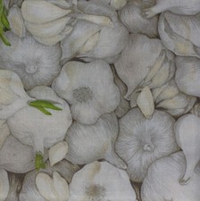 Feline Drive Fabric Farmer Johns Marketplace II GARLIC - Fat Quarter 18x22" FQ