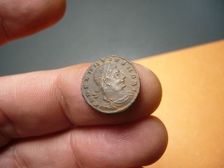 RARE: Delmatius AE Follis 16 mm 1 80 g GLORIA EXERCITVS RIC VII 256 (PP1183)
