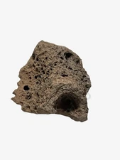 Medium Natural Lace Rock / Volcanic Rock– Unique Porous Stones for Aquariums