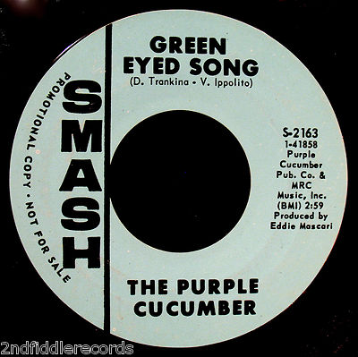 THE PURPLE CUCUMBER-Some Kind Of Magic-Rare Psych Garage DJ 45-SMASH #S-2163