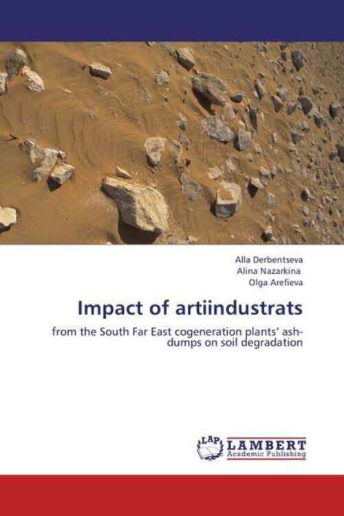 Thumbnail - Impact Of Artiindustrats Alla Derbentseva (u. A.) Taschenbuch Englisch