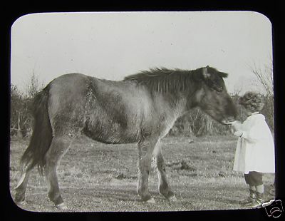 Glas Zauberlaterne Slide Ein Kind mit einem Pony um 1900 