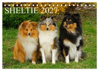 Sheltie 2027 (Tischkalender 2027 DIN A5 Quer), Calvendo Monatskalender