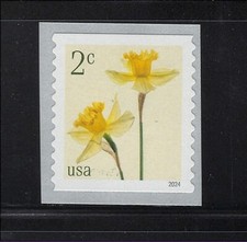 US Scott  5903 Flowers 2 cent Daffodils MNH Coil Single 2024