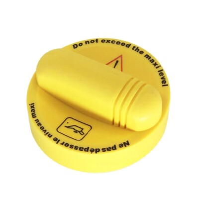 Oil Filler Cap 8200039694 For Renault Kangoo Laguna Master Megane Scenic Trafic