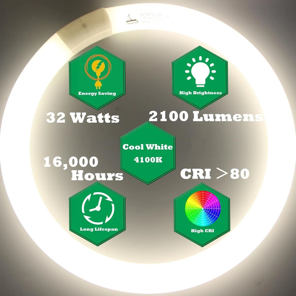 Set of 12" & 16" Round Fluorescent Light Bulbs, 4100K Cool White Illumination - Image 4 of 4