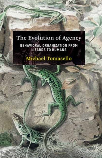 The Evolution Of Agency : Behavioral Organization From Lizards To Humans Michael Tomasello - Image 4