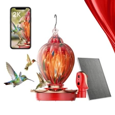 Hummingbird Feeder with Camera - 2K HD Smart Bird Feeder with Solar Panel, Ni...
