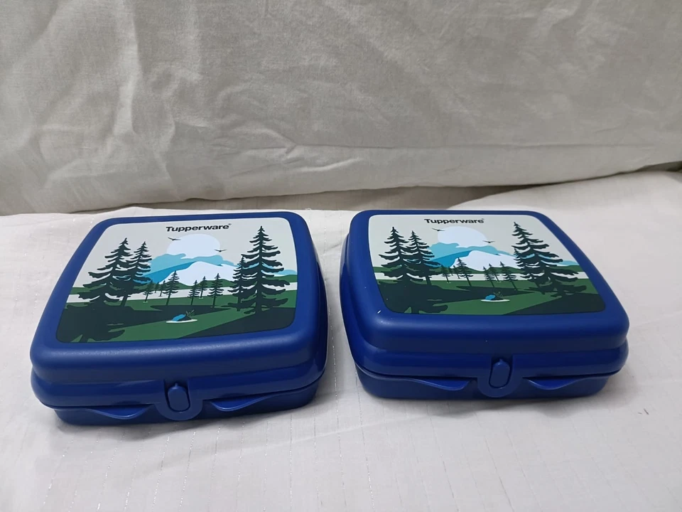 Tupperware Sandwich keeper Desert print Square Shape Lunch Box Free Ship - Image 3 of 3