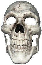 Metallic Silver Skeleton Mask Dress Up Halloween Hard Plastic Mouth Moves