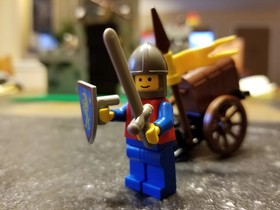 LEGO Castle: Treasure Cart (1463) 100% complete with instructions