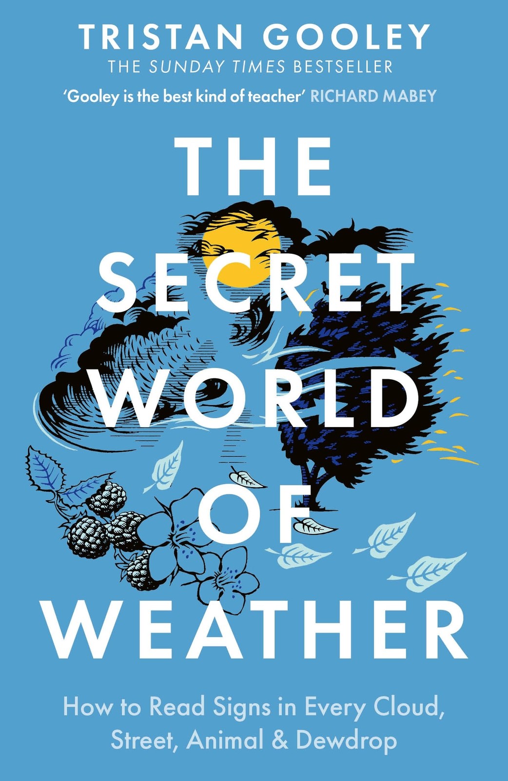 The Secret World of Weather: How to Read Signs in Every By Tristan Goole PB NEW - Image 18