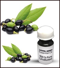 Laurel Berry Essential Oil 100 Pure Undiluted Essential Oil Premium Quality