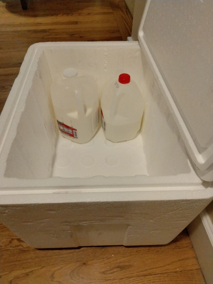 Styrofoam Cooler Box. Extra large,summer use on your Deck. Strong  construction