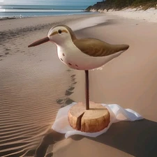 Vtg Wood Shore Bird Spotted Sandpiper hand-painted Hand-carved On Wooden Stand  