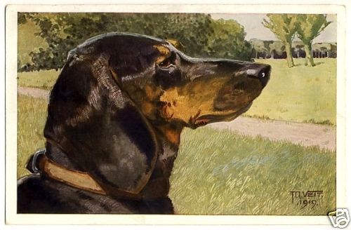 HOUND / JAGDHUND * 1910s Artist Signed VEIT PC * Dog Hund Chien - Picture 1 of 1