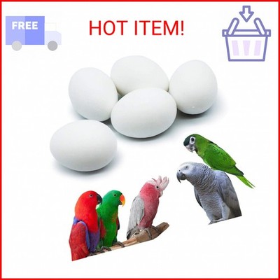 FOIBURELY 5 Pcs Solid Parrot Plastic Eggs Hatching Eggs Mini Macaw Amazon Cockat