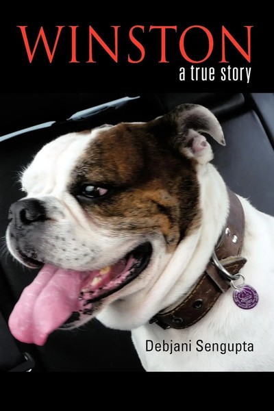 Debjani Sengupta | Winston | Taschenbuch | Englisch (2012) | A True Story-image