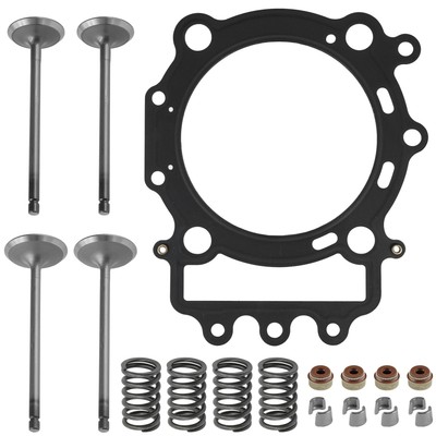 Cylinder Head Intake Exhaust Valve Kit for Arctic Cat 700S 4X4 H1 2010 2011