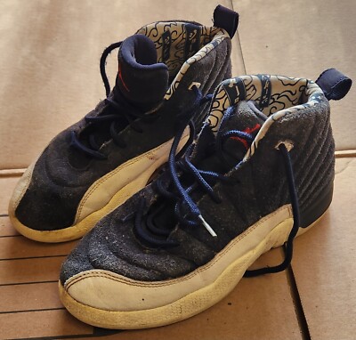 Nike Air Jordan 12 Retro 