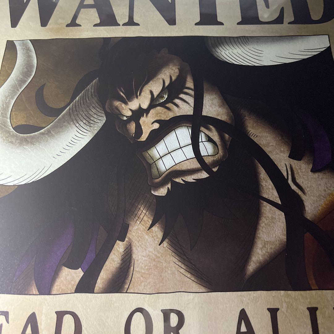 Poster Wanted One Piece – Baggy Store