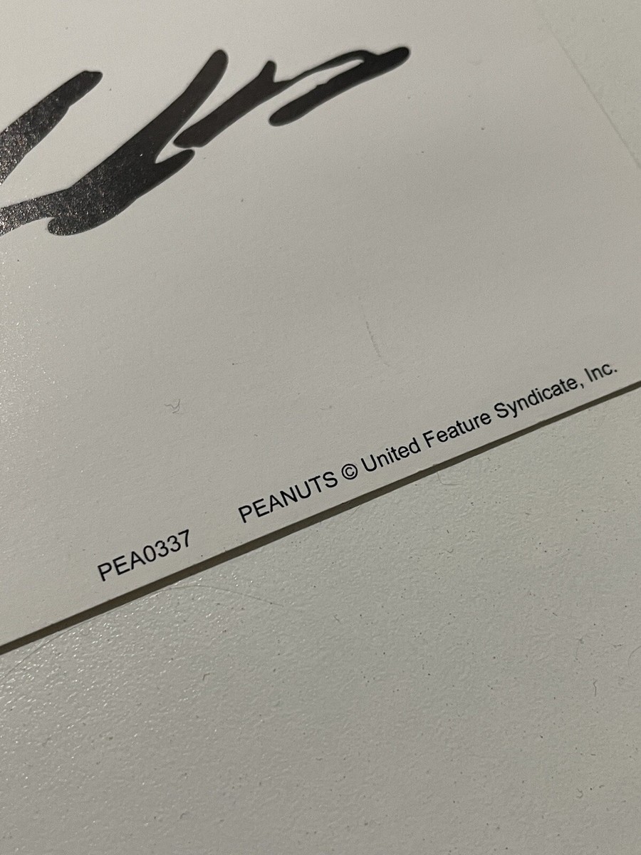 Charlie Brown Peanuts Football Rare Poster Woodstock Snoopy Schulz