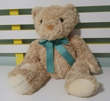 Champneys Teddy Bear With Green Bow 38cm 2010 Beans Inside