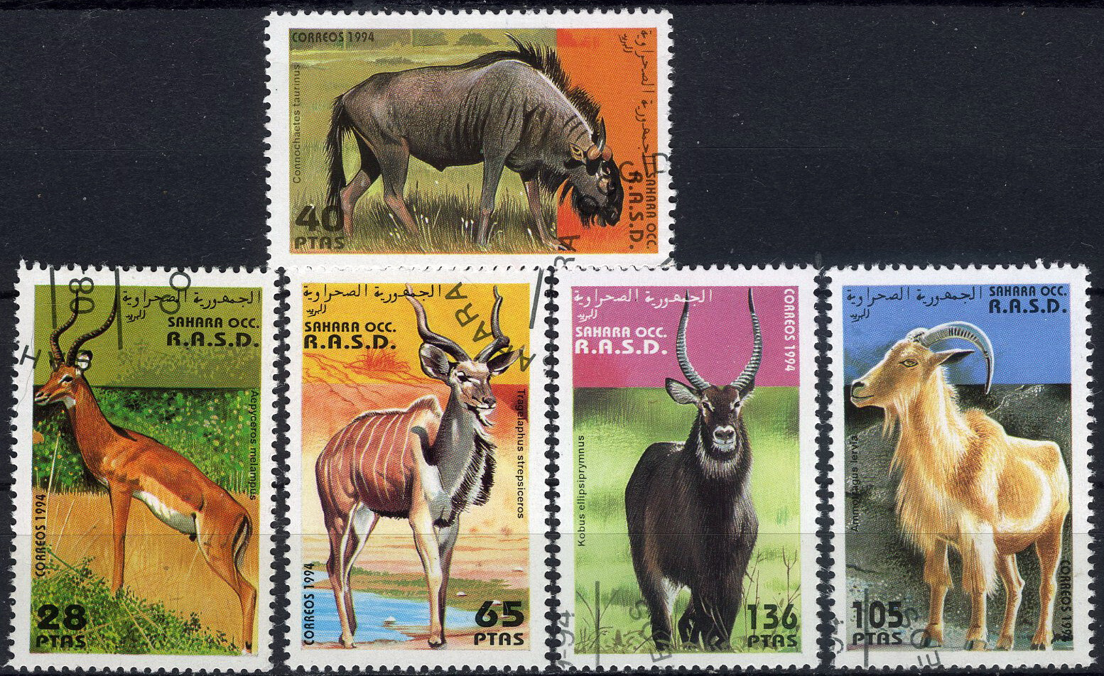 Western Sahara 1994 Antelope & Horned Beasts