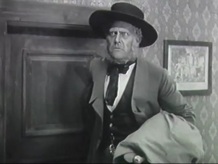 DVD "A Lover in Pawn" (1920) director Victor Sjöström, Classic Silent Drama - Image 4 of 4