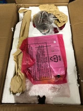 Park Harbor Phpl3501 Hanzell 6" Wide Mini Pendant - MultiColor