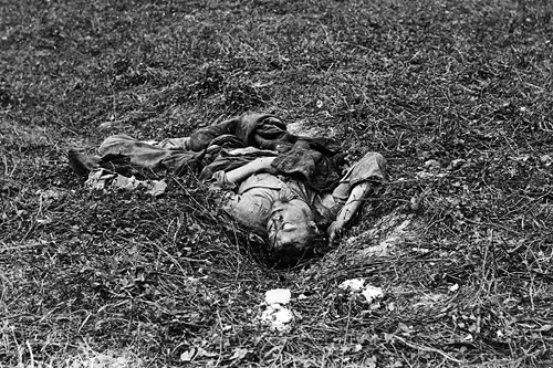New 5x7 Civil War Photo: Rebel Dead on Battlefield of Antietam - Sharpsburg