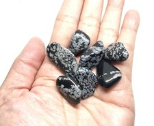 Snowflake Obsidian Genuine Stones 7pcs 28g Total
