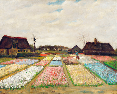 Flower Beds in Holland by Vincent Van Gogh 8''x10'' Art Print 8x10