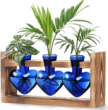 Heart Shaped Propagation Stations, Plant Terrarium with Wooden Stand, Plant Prop