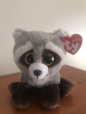 ty bandit raccoon