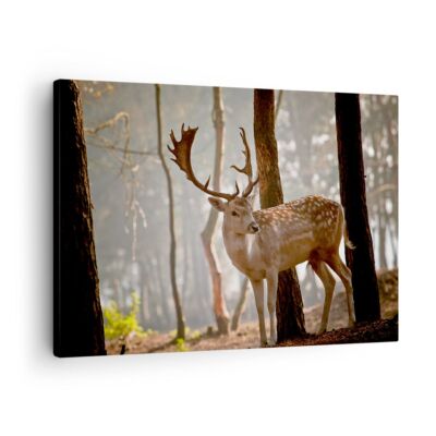 Wandbilder 70x50cm Leinwandbild Kitz Hirsch Tier wild Klein Bilder Art Wanddeko