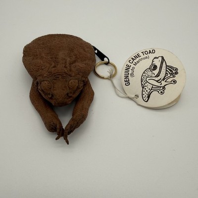 Vintage Genuine Cane Toad Coin Purse Pouch New with Tag