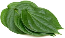 Dried Betel Leaves – Piper Betel Paan Sri Lanka Natural Herbal Lá Trầu Ceylon