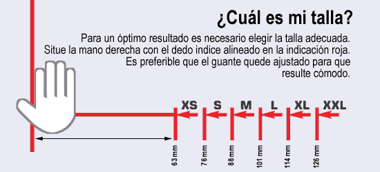 Imagen 3 de 3