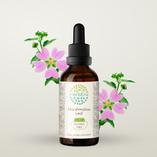 HerbEra Marshmallow Leaf Alcohol-FREE Tincture Organic Althaea Officinalis 