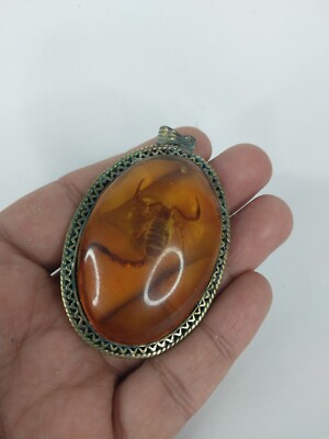 Pendentif Ambre Antique égyptien - Amulette Scorpion - Provenance Louxor