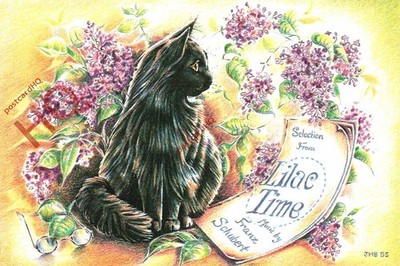 Ansichtskarte:;Katze, Joanne Bond,Fliederzeit [Ph Themen]