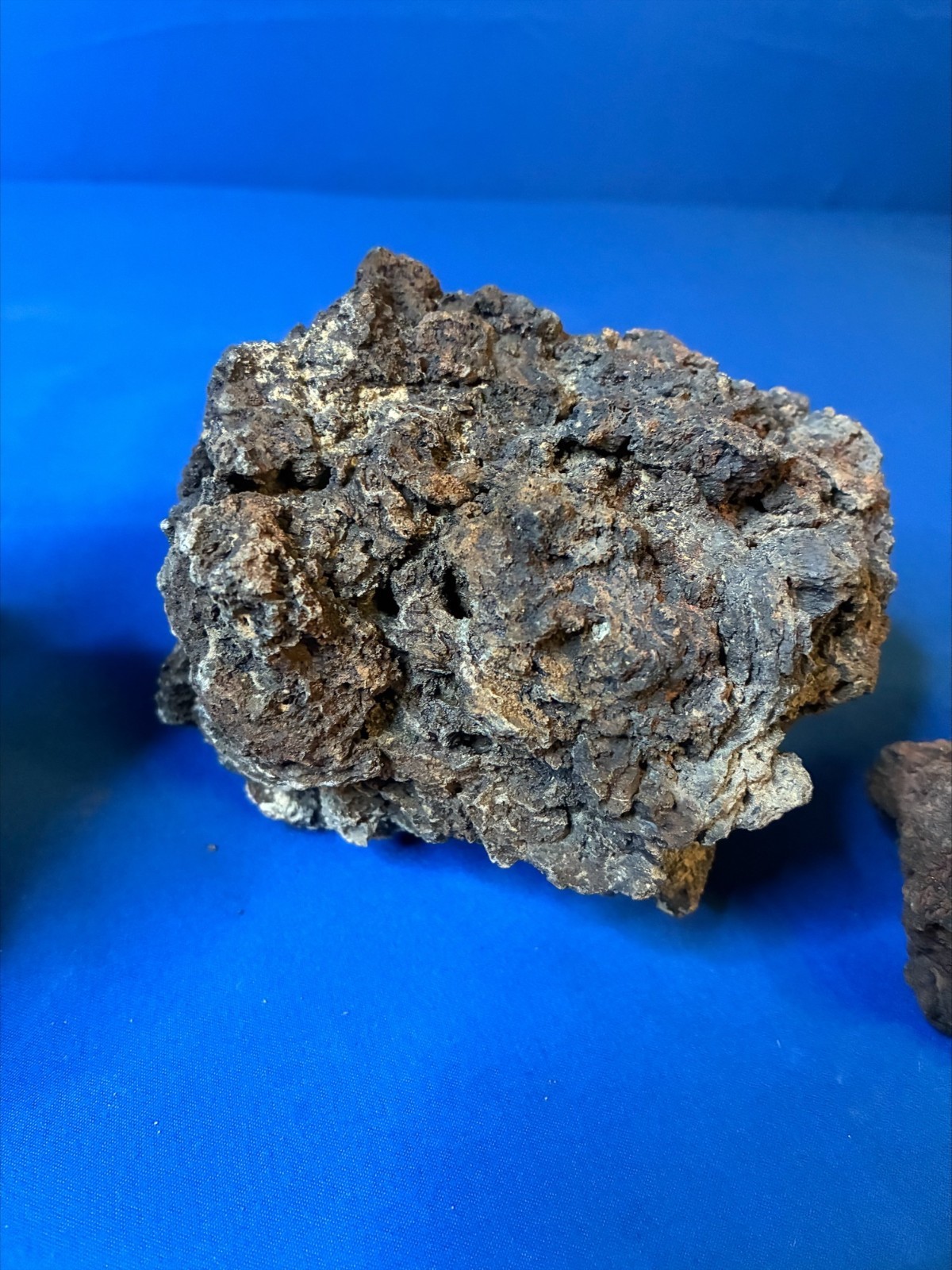 Aquarium Lava Stone Aquascape Terrarium 4 Pieces 7.10lbs