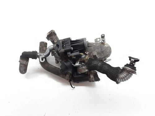 9802194080 Valvula Egr para FORD FIESTA (CNN) Trend 2013 1728295 - Imagen 1 de 10